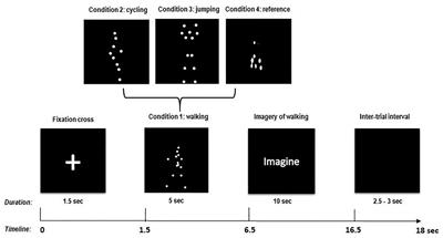 Neural Suppression Elicited During Motor Imagery Following the Observation of Biological Motion From Point-Light Walker Stimuli